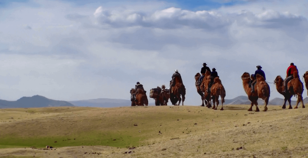 Mongolia Dinosaur Dig Tour | Small group tour in the Gobi Desert