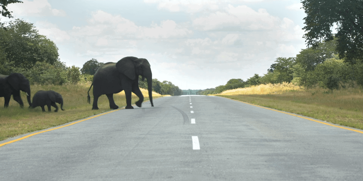 Namibia Wildlife and Culture Tour for Seniors