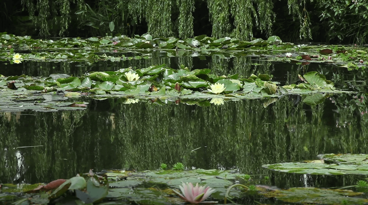 Monet’s Giverny Garden
