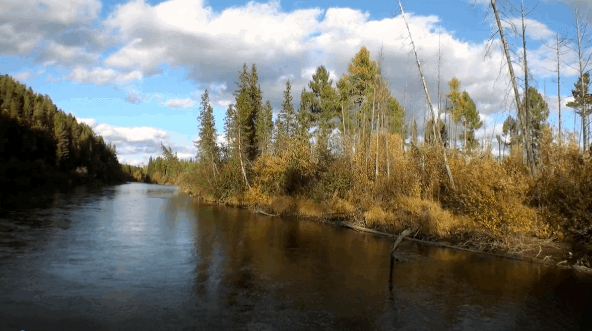 Trans-Siberian Landscapes and Wildlife