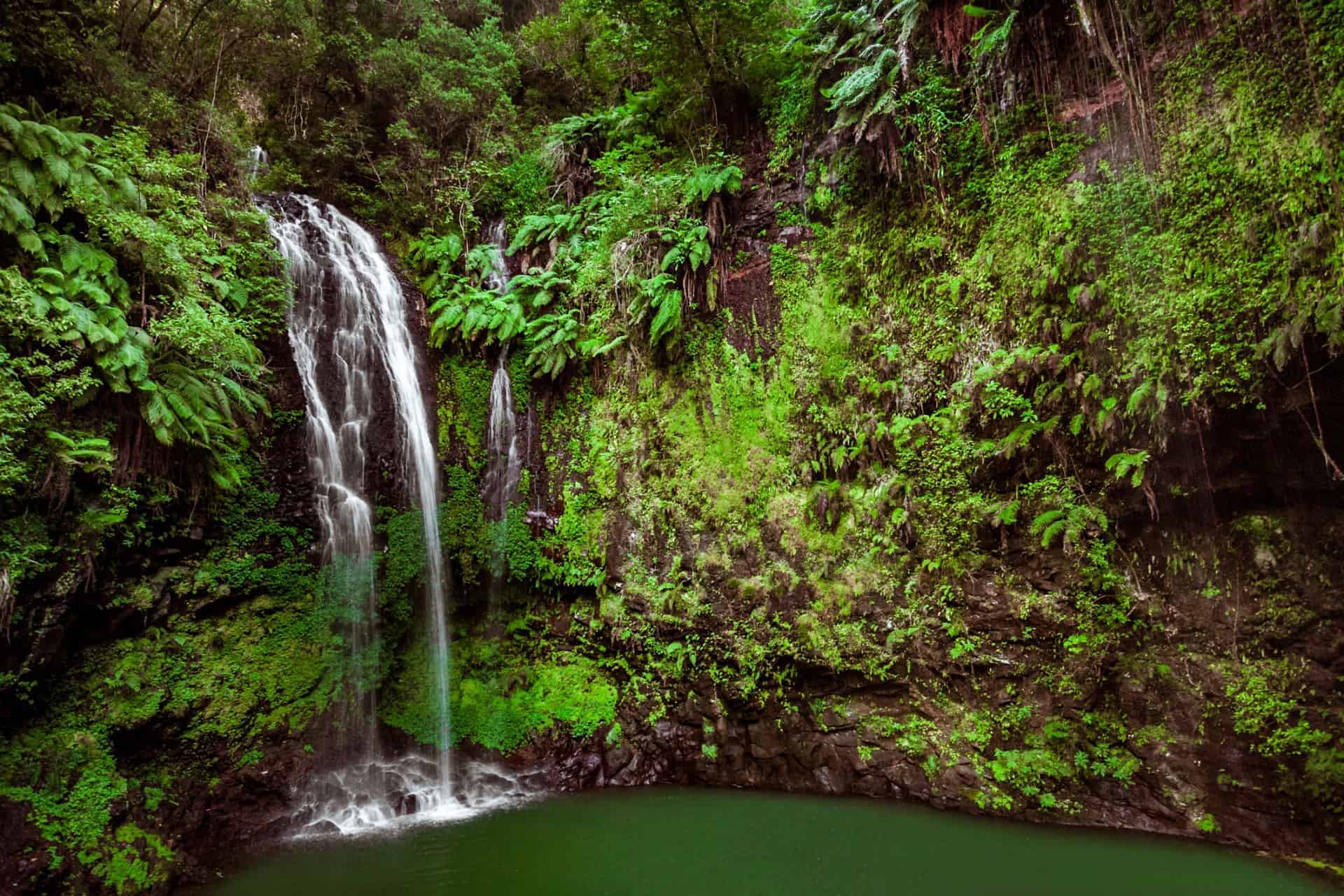 Amber Mountains park, Madagascar