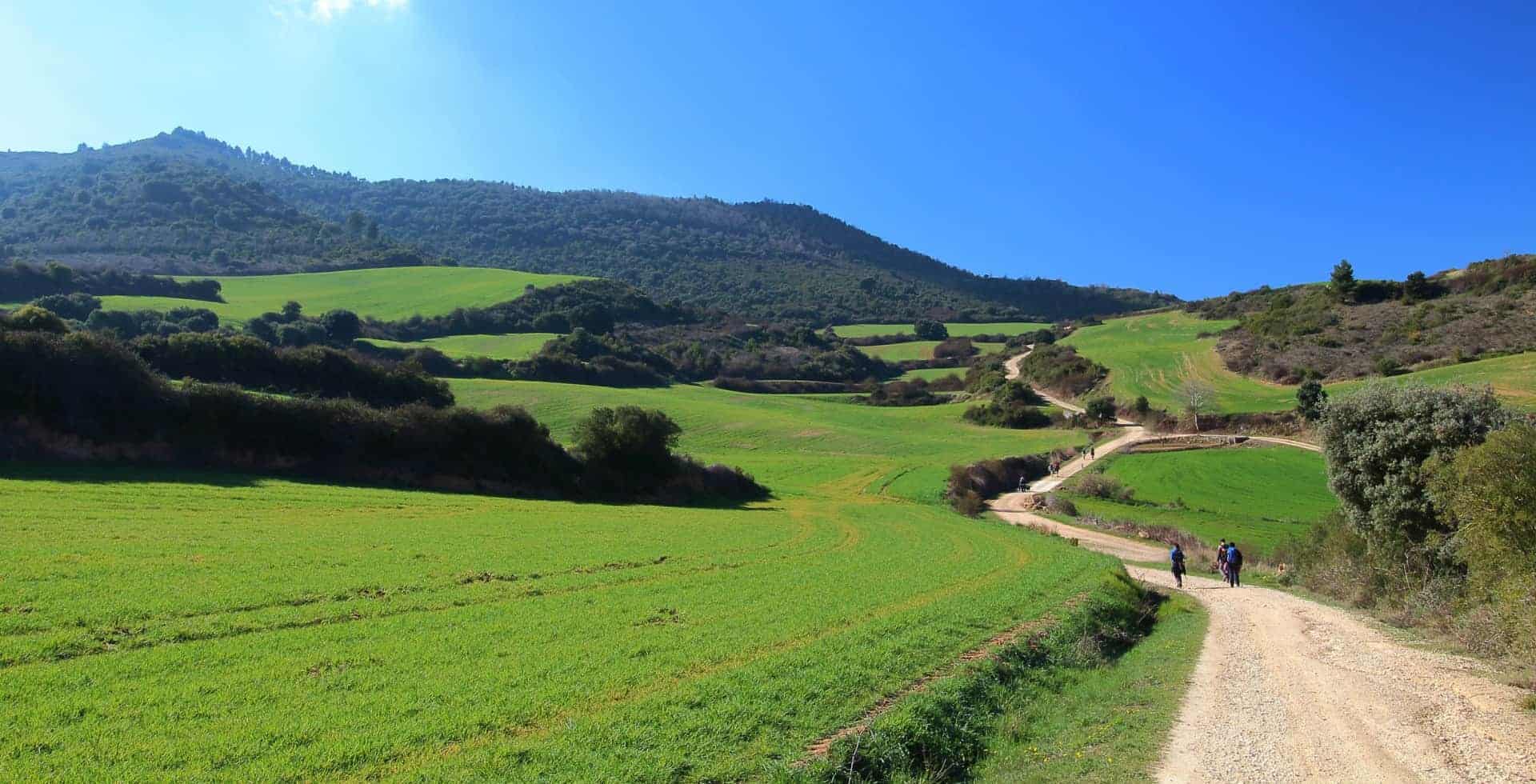 Walking the Camino