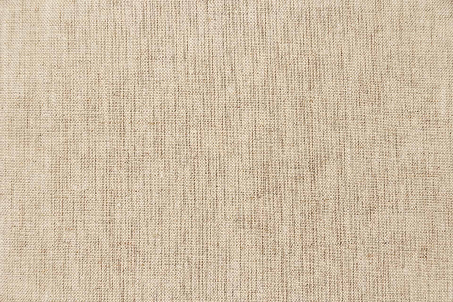Egypt article