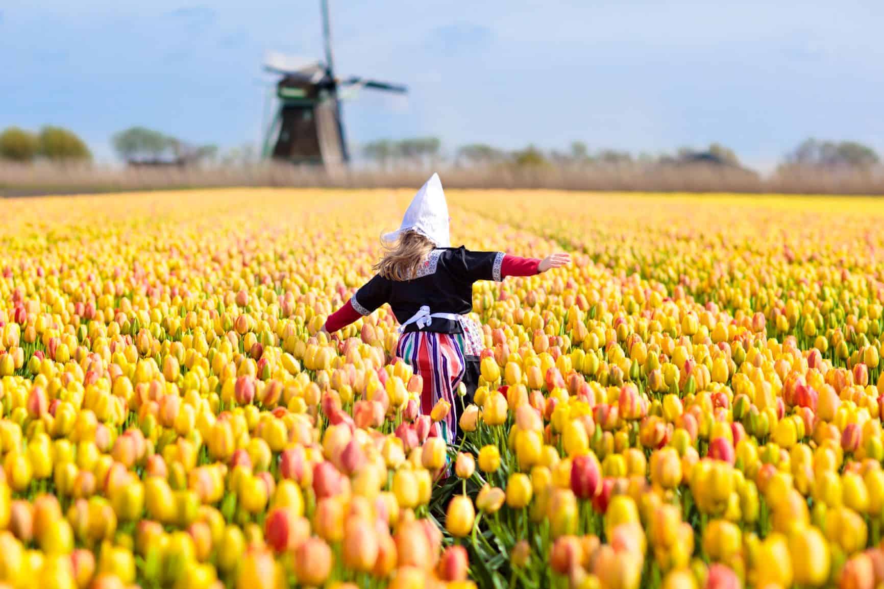 Dutch girl in tulip field Netherlands