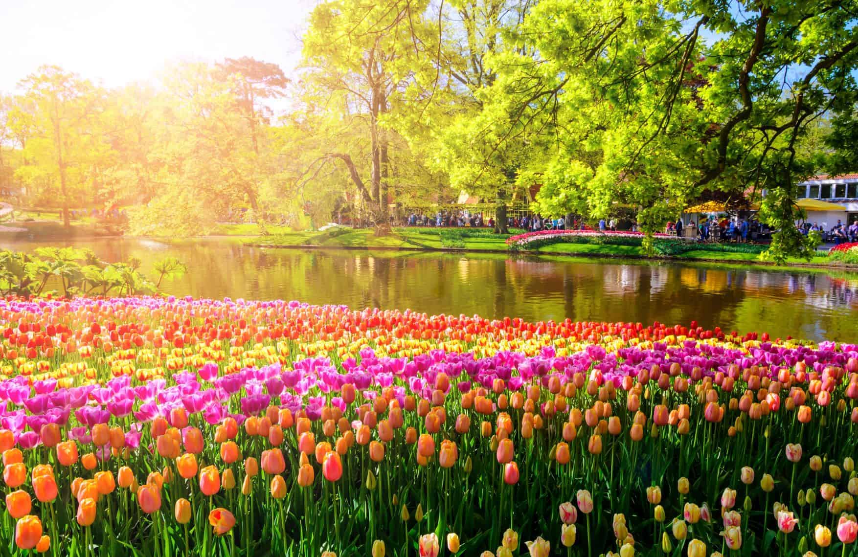 Keukenhof Netherlands