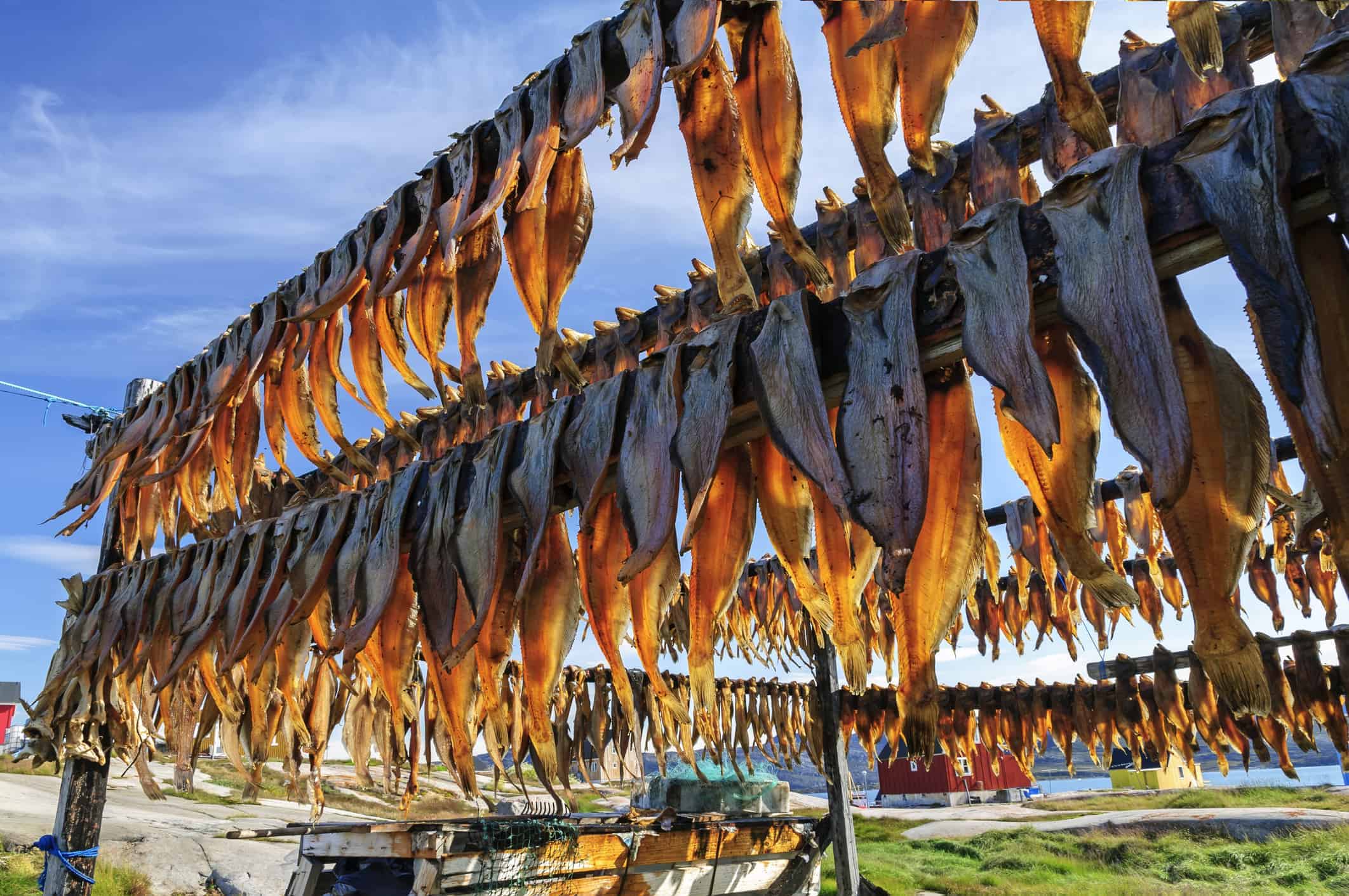 Greenland dried fish