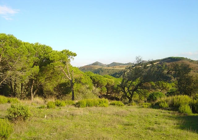 Tapada