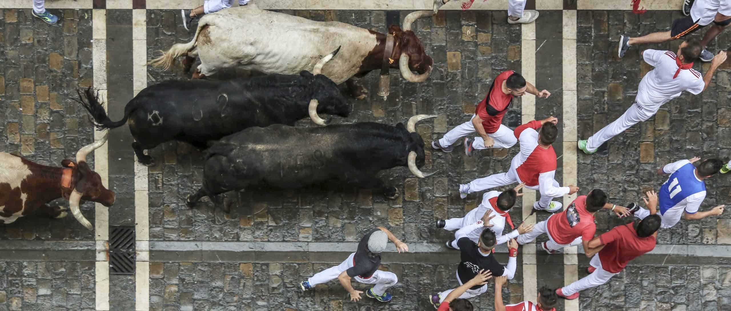 The running of the bulls in Pamplona, Spain