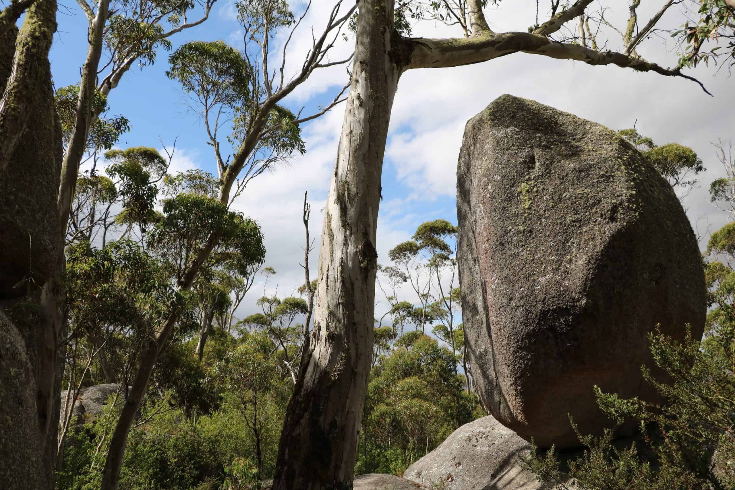 Granite boulders in Porongurup National Park.