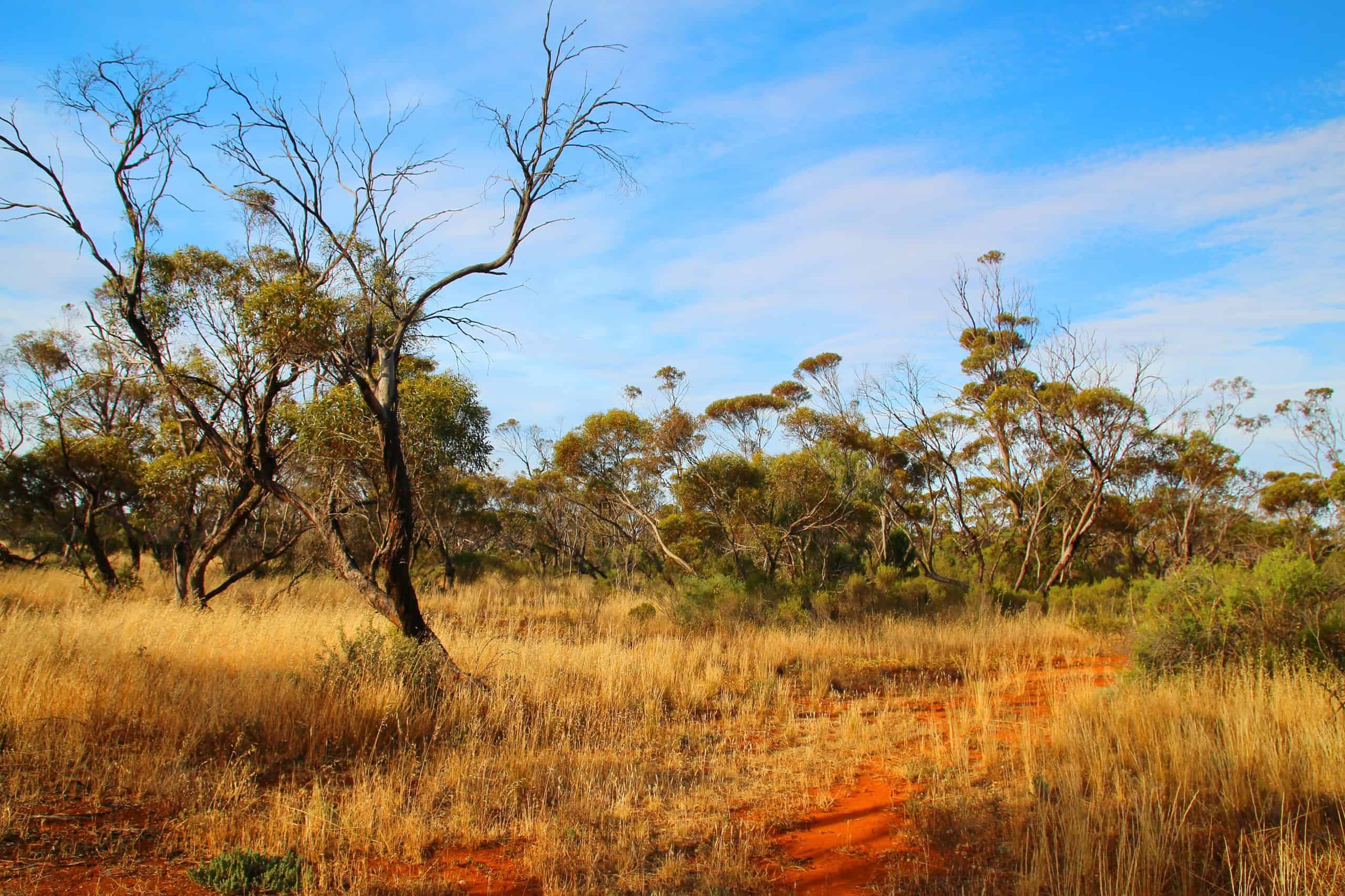 Eyre Peninsula South Australia